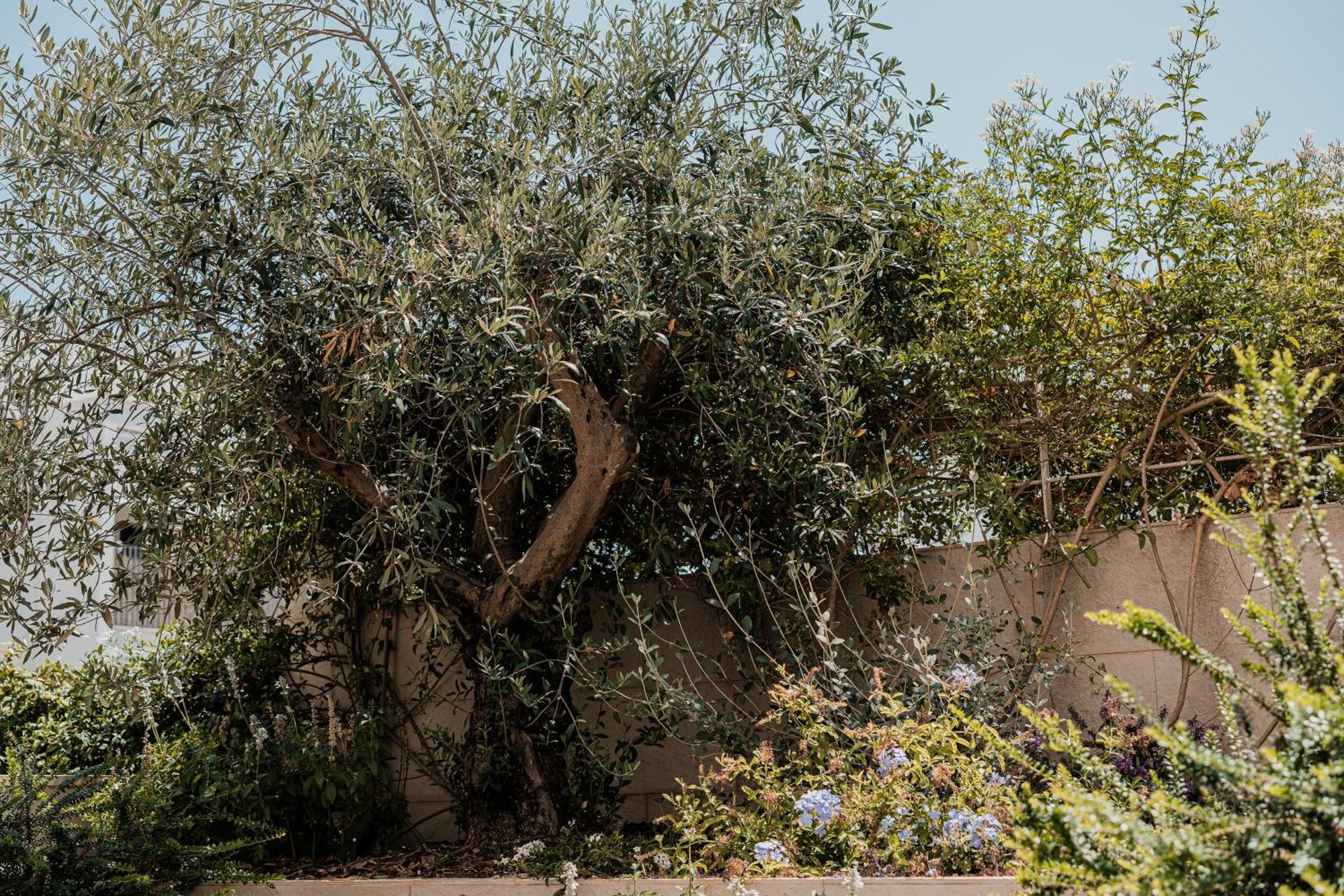 Olea Boutique Suites Polignano Polignano a Mare Eksteriør bilde