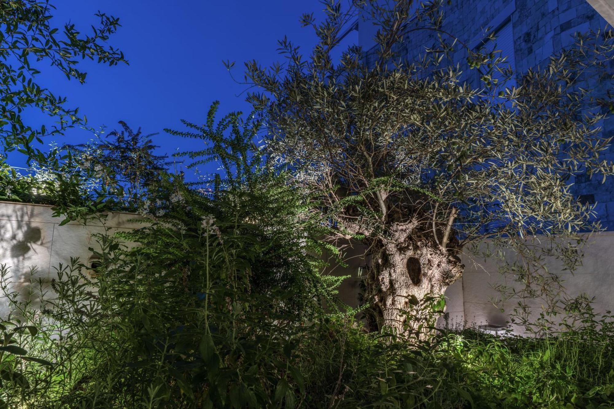 Olea Boutique Suites Polignano Polignano a Mare Eksteriør bilde